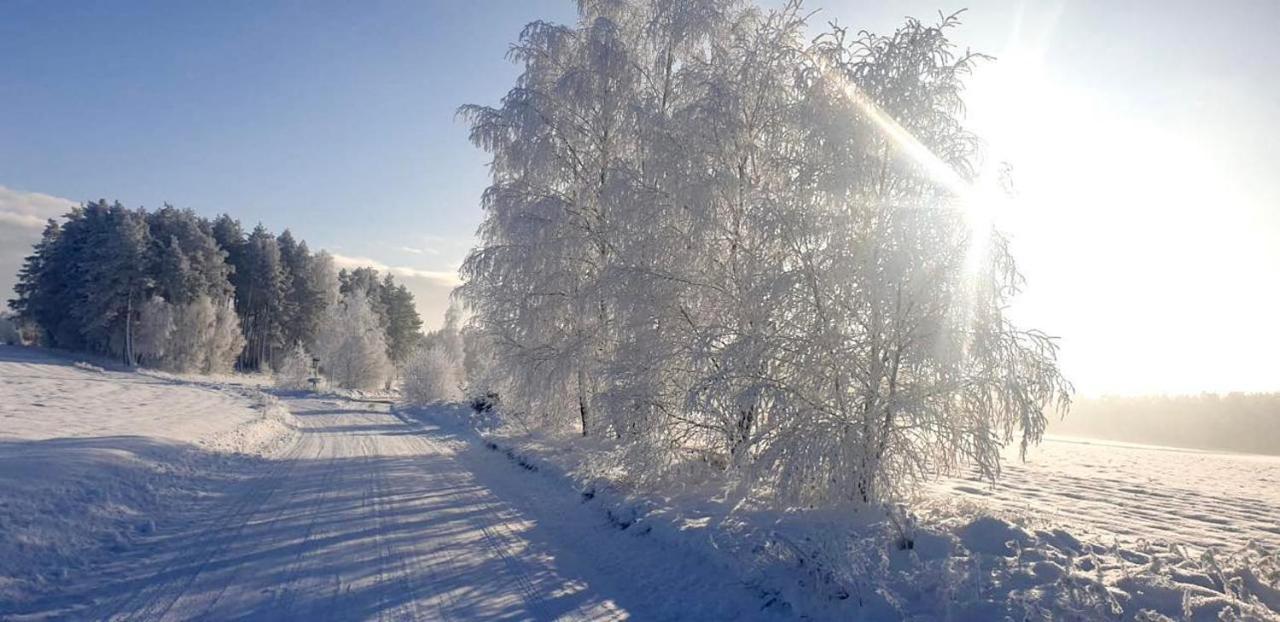 Ostoja Bukowo 12,2 Chata U Szoltesa Borowy Mlyn Exterior foto